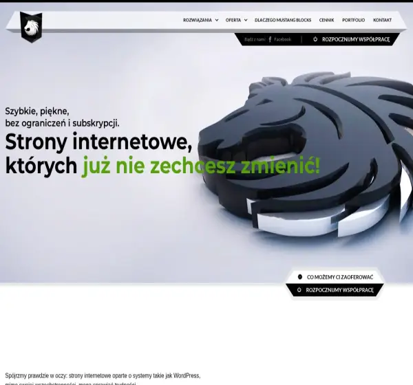 Forum i opinie o mustang-marketing.pl