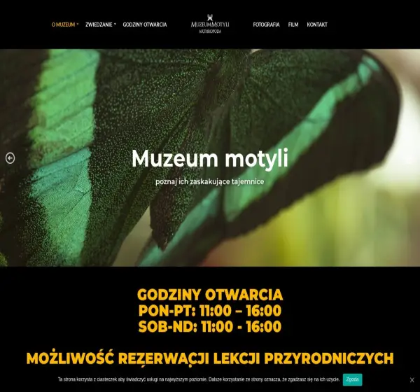 Forum i opinie o muzeummotyli.com