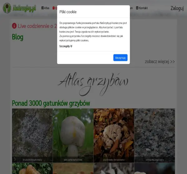 Forum i opinie o nagrzyby.pl