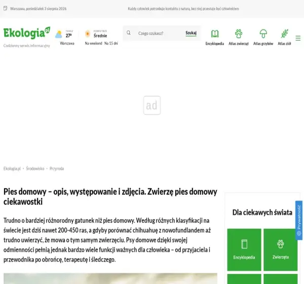 Forum i opinie o pies.pl