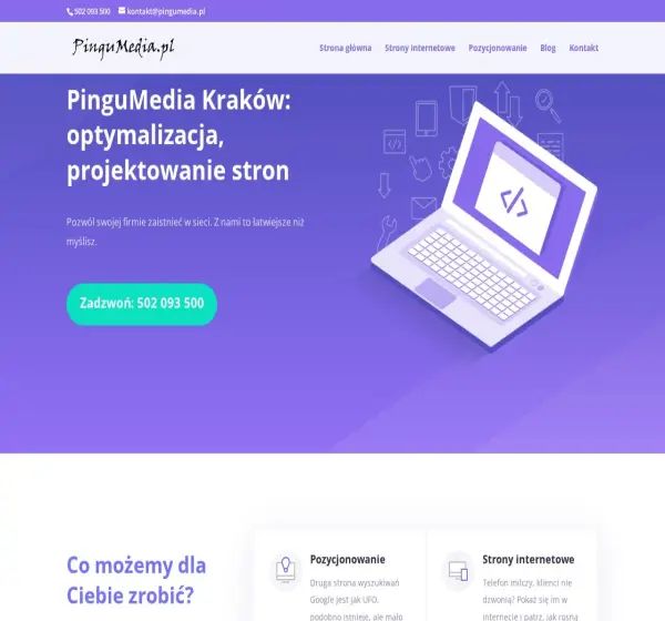 Forum i opinie o pingumedia.pl