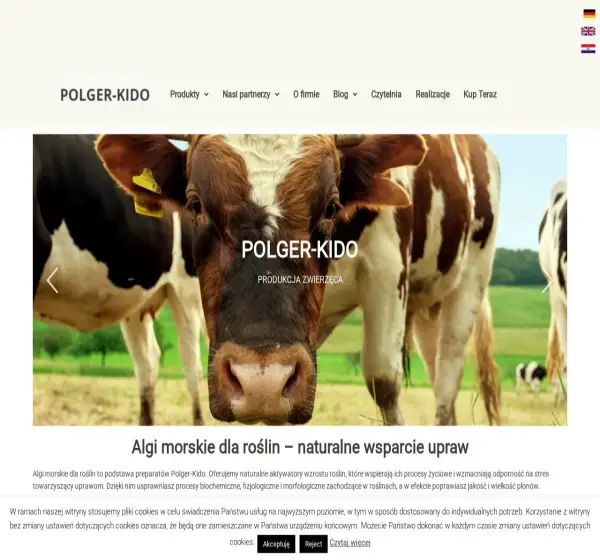 Forum i opinie o polger-kido.pl
