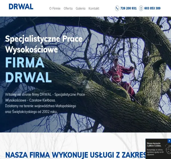 Forum i opinie o pracewysokosciowekrakow.com