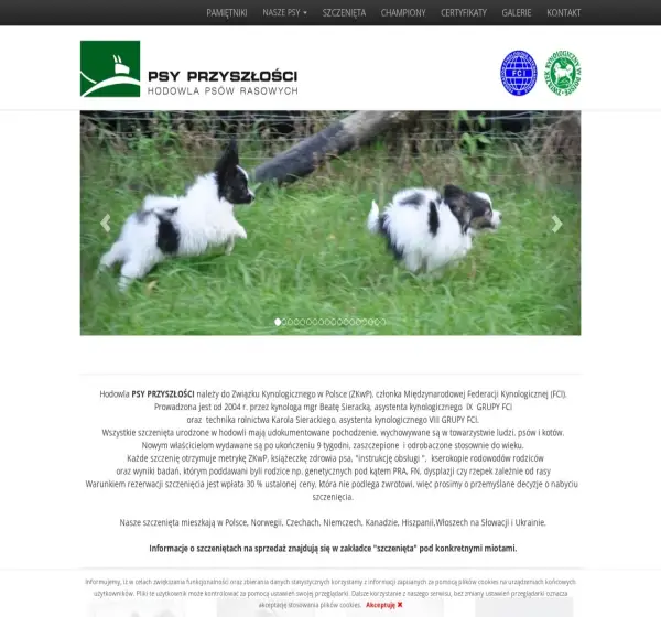 Forum i opinie o psy-przyszlosci.pl