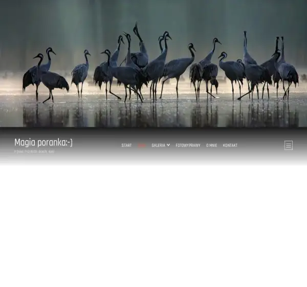 Forum i opinie o rusztowania.ino.pl
