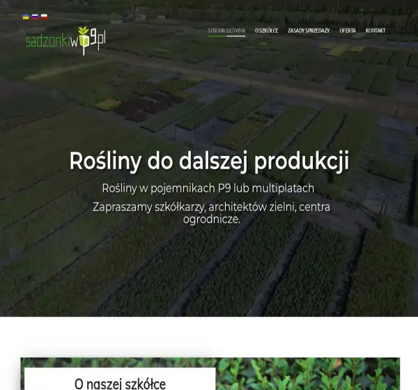 Forum i opinie o sadzonkiwp9.pl