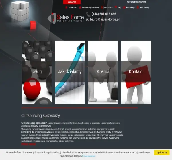 Forum i opinie o sales-force.pl
