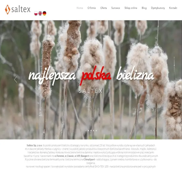 Forum i opinie o saltex.pl