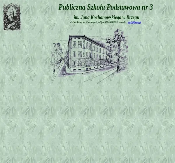 Forum i opinie o sp3brzeg.wodip.opole.pl