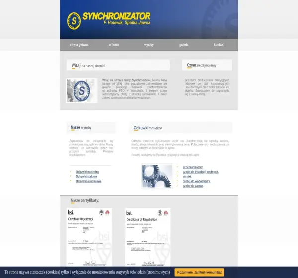 Forum i opinie o synchronizator.com.pl