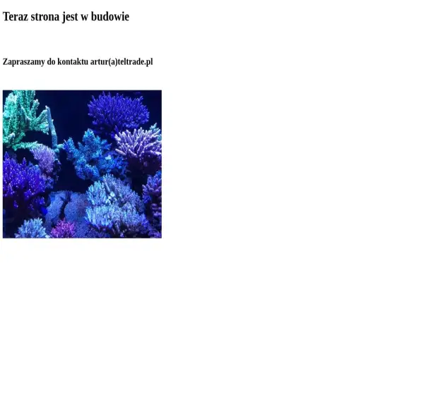 Forum i opinie o teltrade.pl