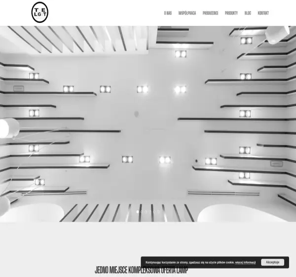 Forum i opinie o thelight.pl