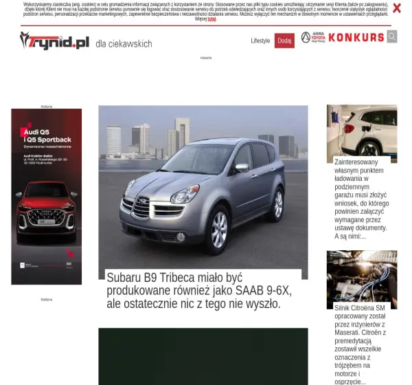 Forum i opinie o trynid.pl