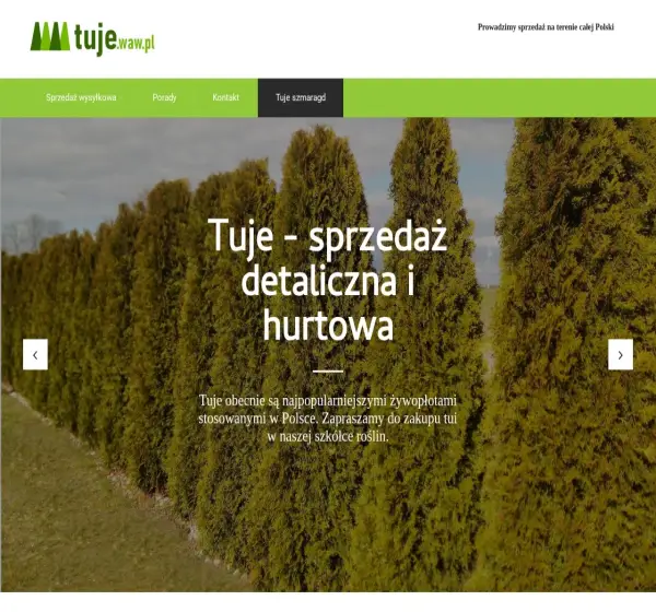 Forum i opinie o tuje.waw.pl