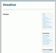 Vesalius.pl