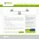 waga-consulting.pl